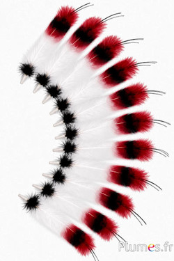 Gans - indianenveer - 30-35 cm - wit-zwart-rood